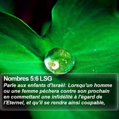 Nombres 5:6 LSG Bible Verse Image