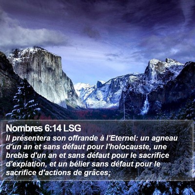 Nombres 6:14 LSG Bible Verse Image
