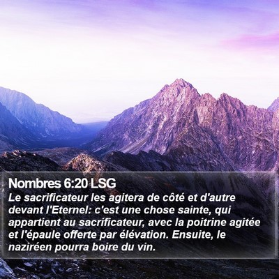 Nombres 6:20 LSG Bible Verse Image