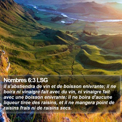 Nombres 6:3 LSG Bible Verse Image