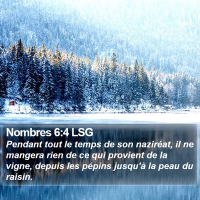 Nombres 6:4 LSG Bible Verse Image