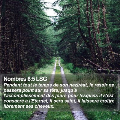 Nombres 6:5 LSG Bible Verse Image
