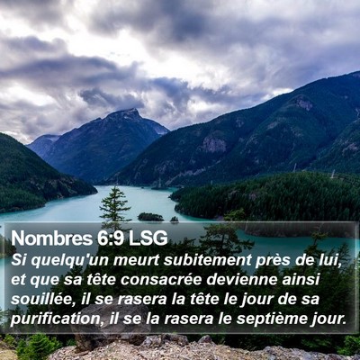 Nombres 6:9 LSG Bible Verse Image