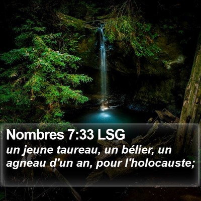 Nombres 7:33 LSG Bible Verse Image