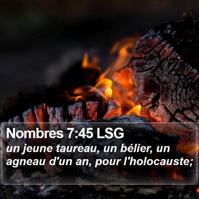 Nombres 7:45 LSG Bible Verse Image