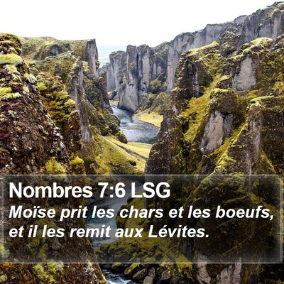Nombres 7:6 LSG Bible Verse Image