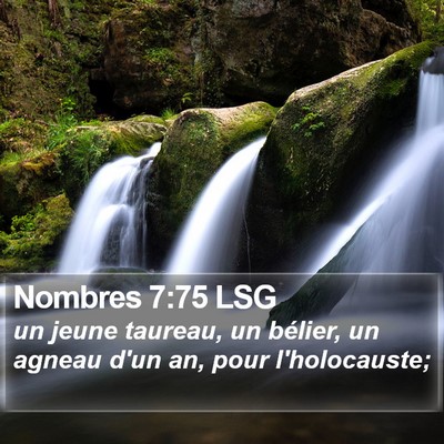 Nombres 7:75 LSG Bible Verse Image