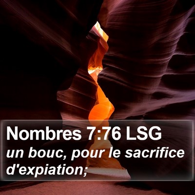 Nombres 7:76 LSG Bible Verse Image