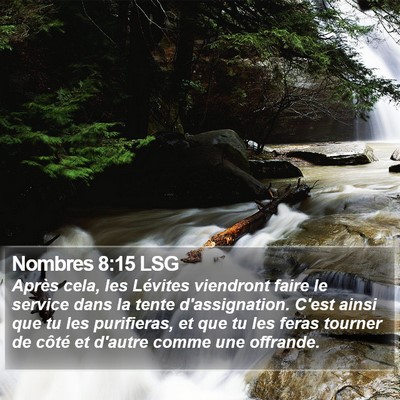 Nombres 8:15 LSG Bible Verse Image
