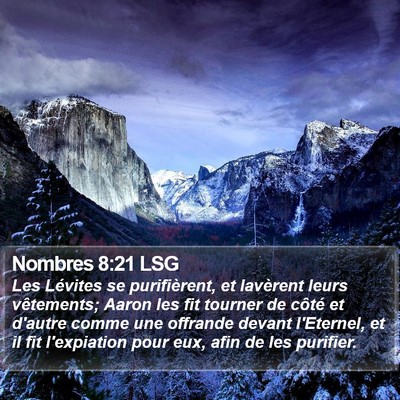 Nombres 8:21 LSG Bible Verse Image