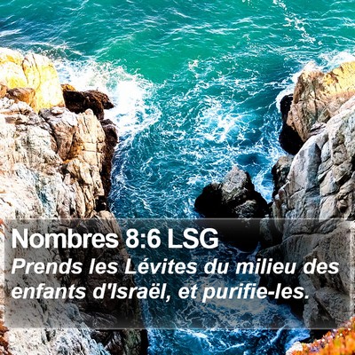 Nombres 8:6 LSG Bible Verse Image