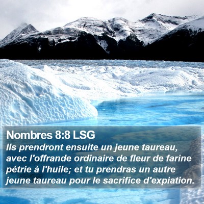 Nombres 8:8 LSG Bible Verse Image