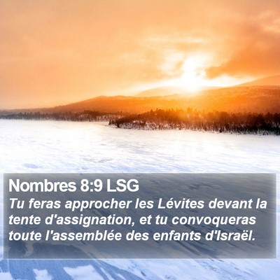 Nombres 8:9 LSG Bible Verse Image