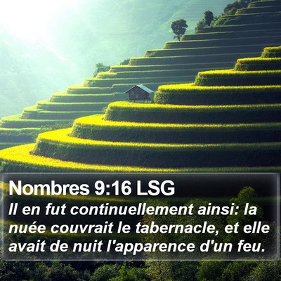 Nombres 9:16 LSG Bible Verse Image