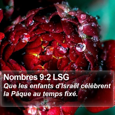 Nombres 9:2 LSG Bible Verse Image