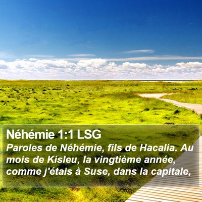 Néhémie 1:1 LSG Bible Verse Image
