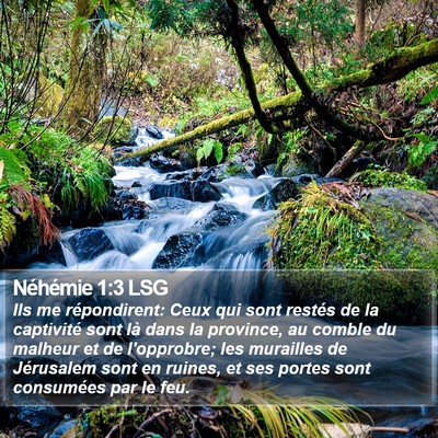 Néhémie 1:3 LSG Bible Verse Image