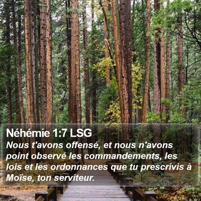 Néhémie 1:7 LSG Bible Verse Image