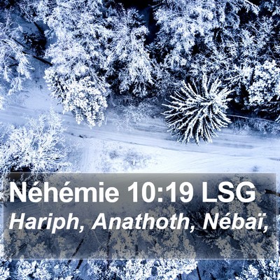 Néhémie 10:19 LSG Bible Verse Image