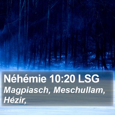 Néhémie 10:20 LSG Bible Verse Image