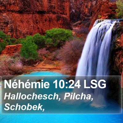 Néhémie 10:24 LSG Bible Verse Image