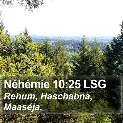 Néhémie 10:25 LSG Bible Verse Image