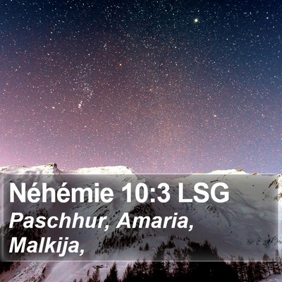 Néhémie 10:3 LSG Bible Verse Image