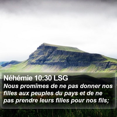 Néhémie 10:30 LSG Bible Verse Image