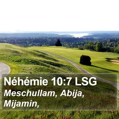 Néhémie 10:7 LSG Bible Verse Image