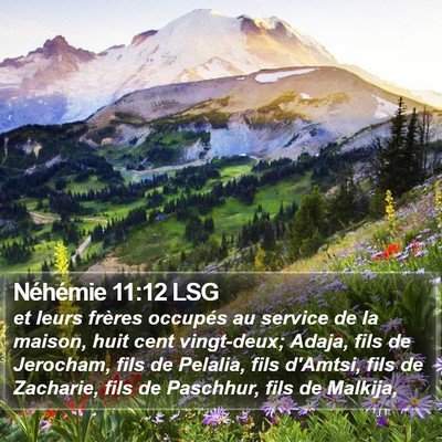 Néhémie 11:12 LSG Bible Verse Image
