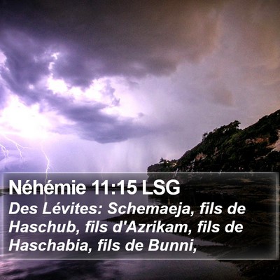 Néhémie 11:15 LSG Bible Verse Image