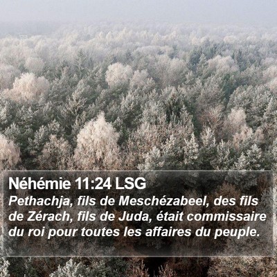 Néhémie 11:24 LSG Bible Verse Image