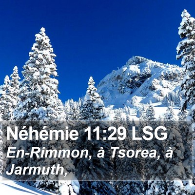 Néhémie 11:29 LSG Bible Verse Image