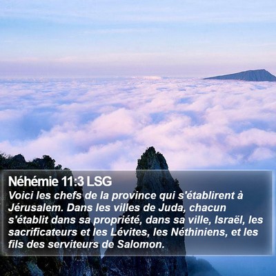 Néhémie 11:3 LSG Bible Verse Image