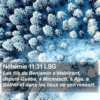 Néhémie 11:31 LSG Bible Verse Image