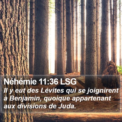 Néhémie 11:36 LSG Bible Verse Image
