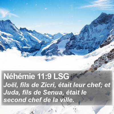 Néhémie 11:9 LSG Bible Verse Image