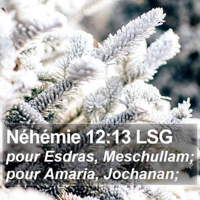 Néhémie 12:13 LSG Bible Verse Image