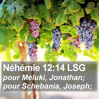 Néhémie 12:14 LSG Bible Verse Image