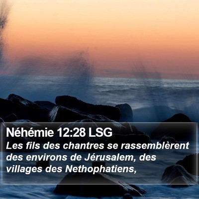 Néhémie 12:28 LSG Bible Verse Image
