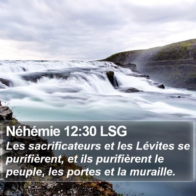 Néhémie 12:30 LSG Bible Verse Image