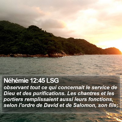 Néhémie 12:45 LSG Bible Verse Image