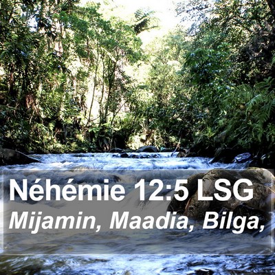 Néhémie 12:5 LSG Bible Verse Image
