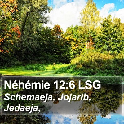 Néhémie 12:6 LSG Bible Verse Image