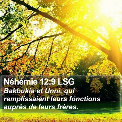 Néhémie 12:9 LSG Bible Verse Image