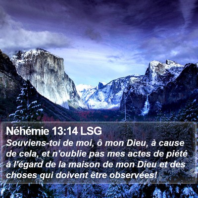 Néhémie 13:14 LSG Bible Verse Image