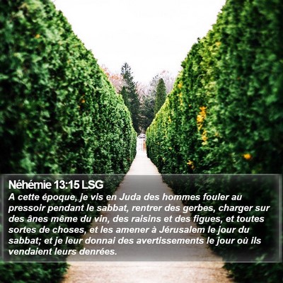 Néhémie 13:15 LSG Bible Verse Image