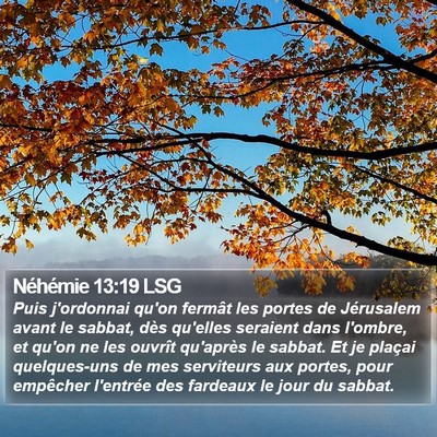 Néhémie 13:19 LSG Bible Verse Image