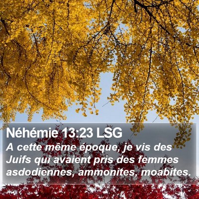 Néhémie 13:23 LSG Bible Verse Image