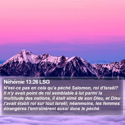 Néhémie 13:26 LSG Bible Verse Image